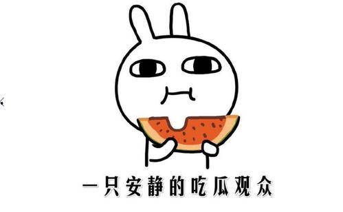 网上吃瓜的意思,揭秘网友围观背后的娱乐狂欢